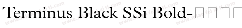 Terminus Black SSi Bold字体转换